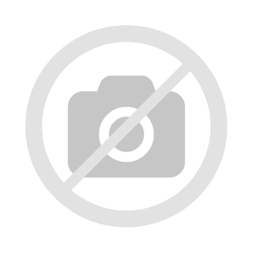 2pk Fortress Bluebird House for Outdoor Clearance - Metal Entry Cage, Mesh Base & Brass Guard - Cedar Bird House for Bluebirds, Finches, Patented Design, Weatherable 5 Years Usage, 6'x7', 2026 Updated