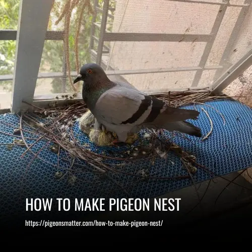 Read more about the article How to Make Pigeon Nest
