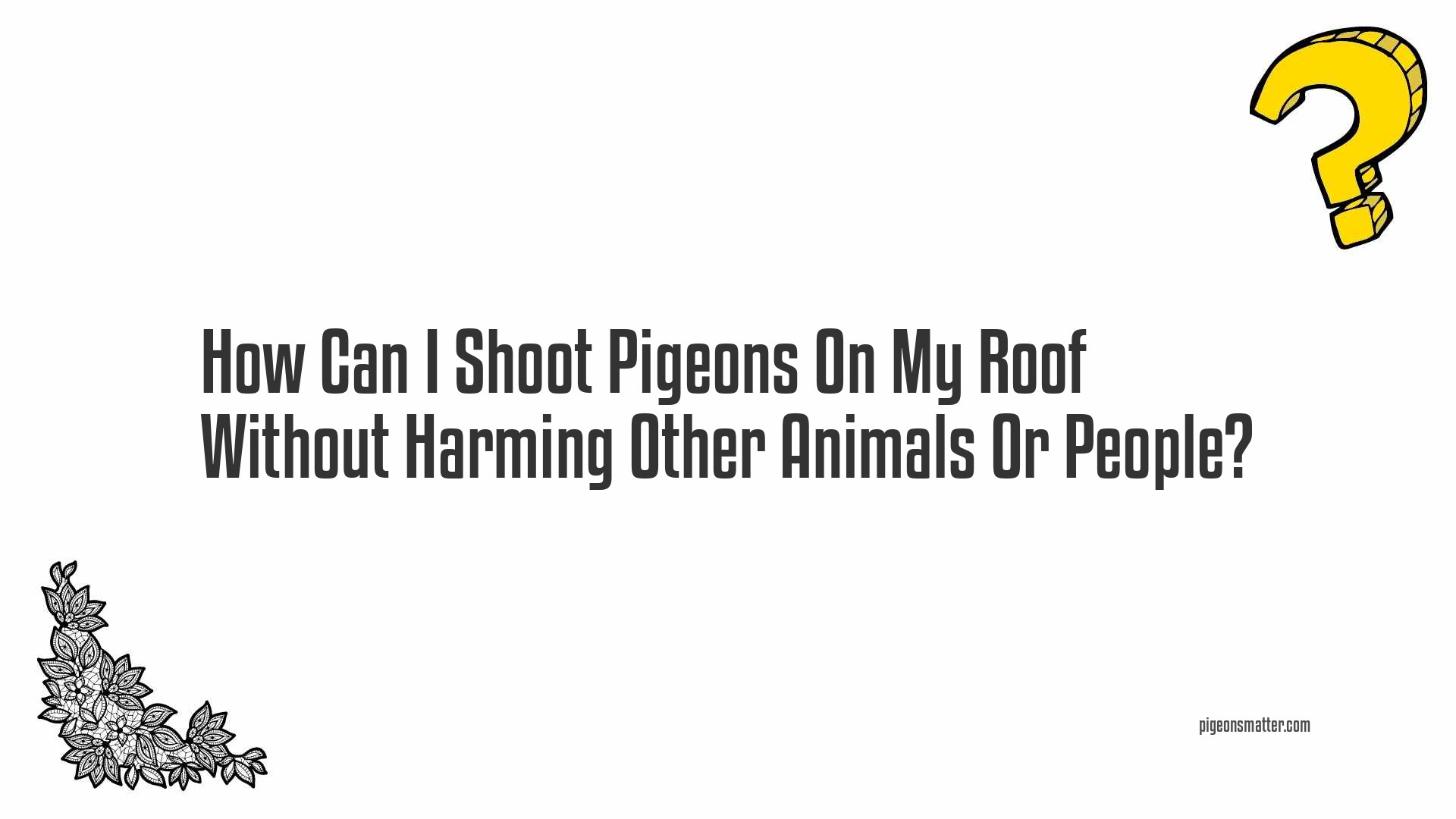 How Can I Shoot Pigeons On My Roof Without Harming Other Animals Or People?