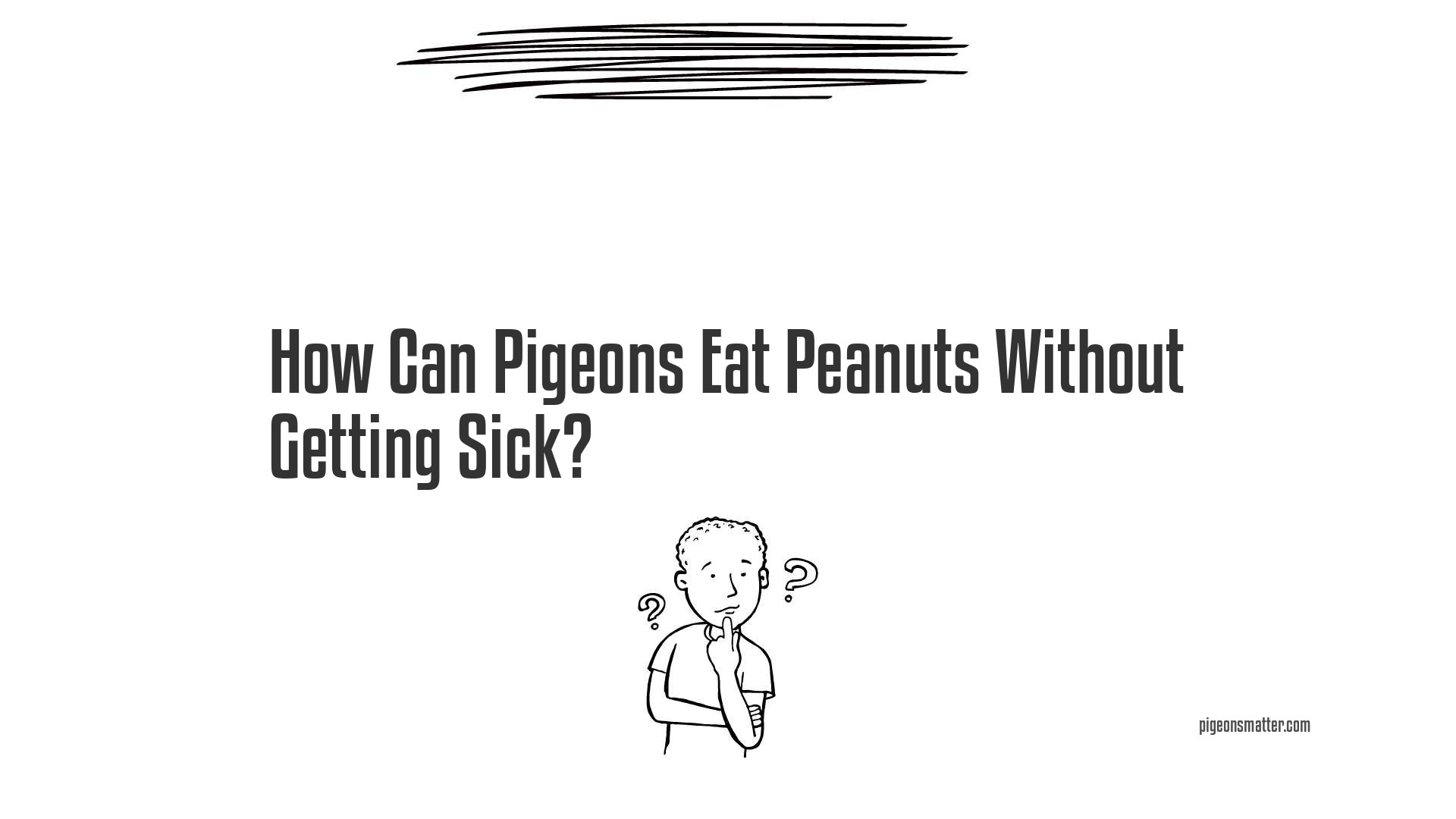 How Can Pigeons Eat Peanuts Without Getting Sick?