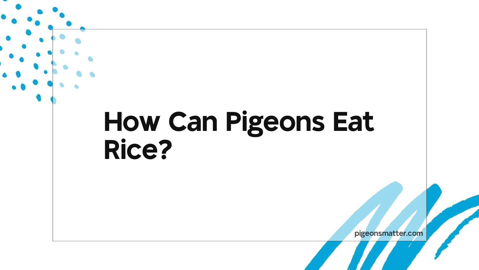 How Can Pigeons Eat Rice?