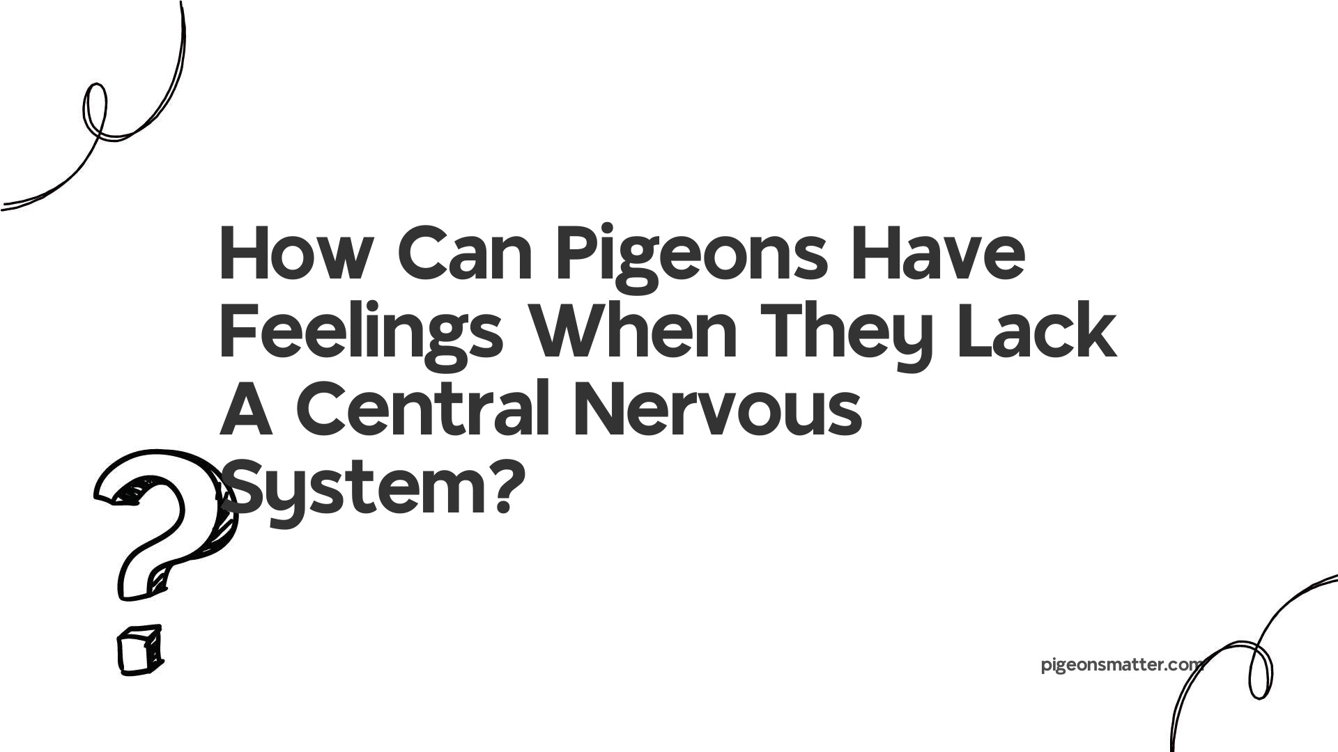 How Can Pigeons Have Feelings When They Lack A Central Nervous System?
