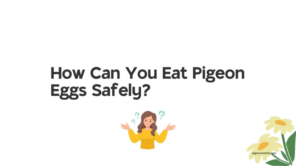 How Can You Eat Pigeon Eggs?