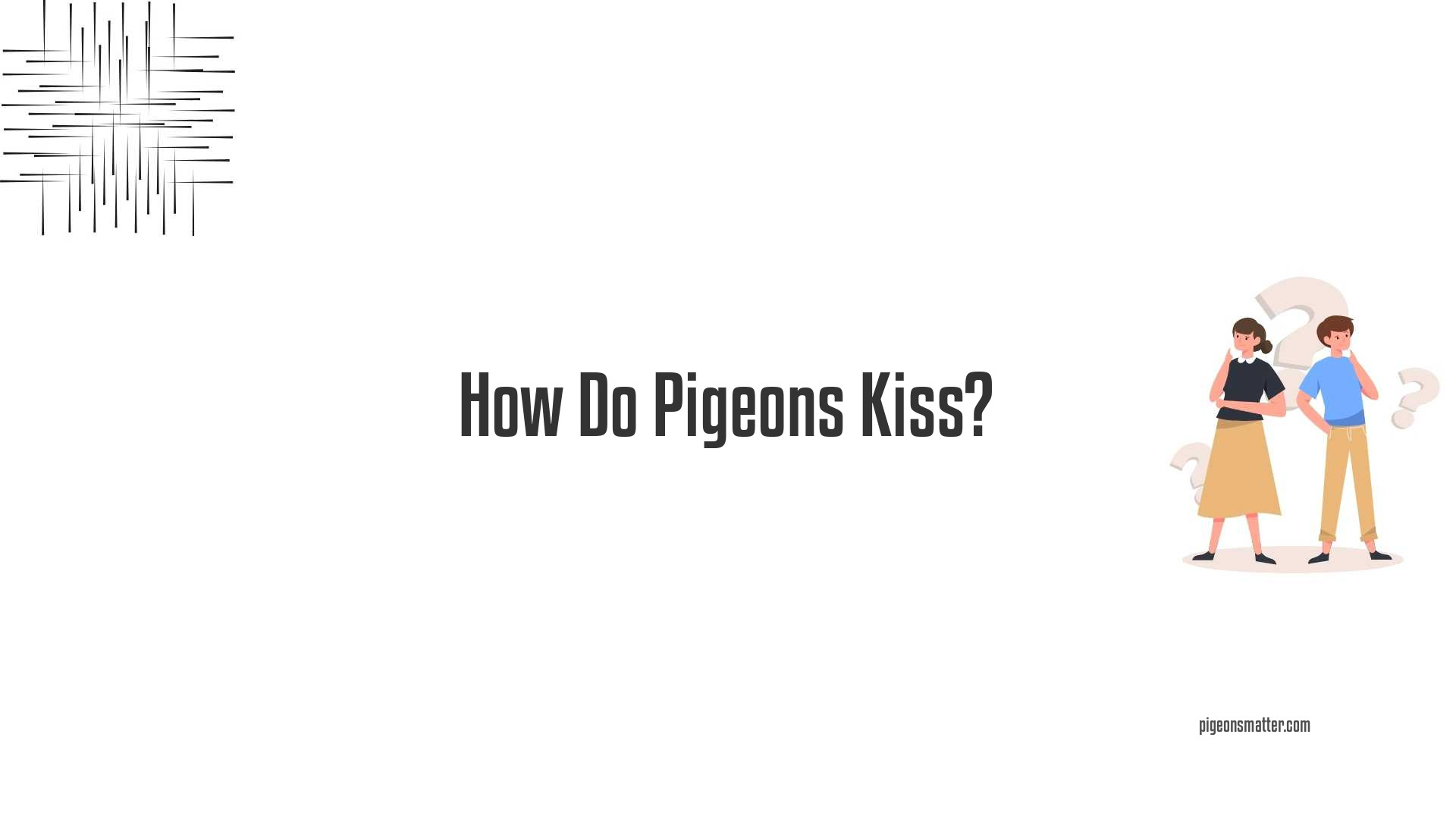 How Do Pigeons Kiss?