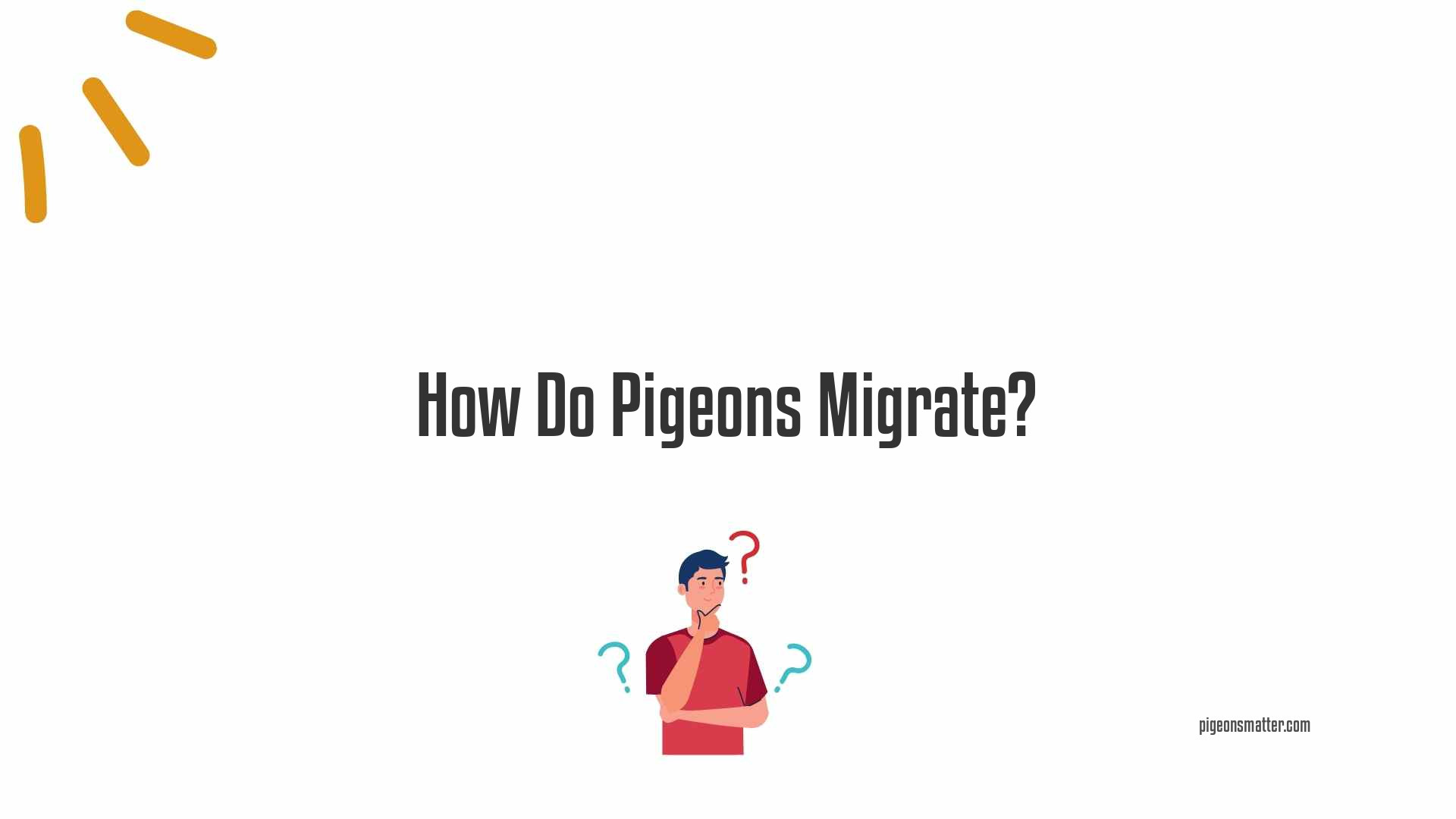 How Do Pigeons Migrate?