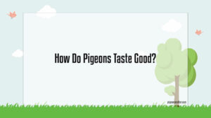 Read more about the article How Do Pigeons Taste Good?