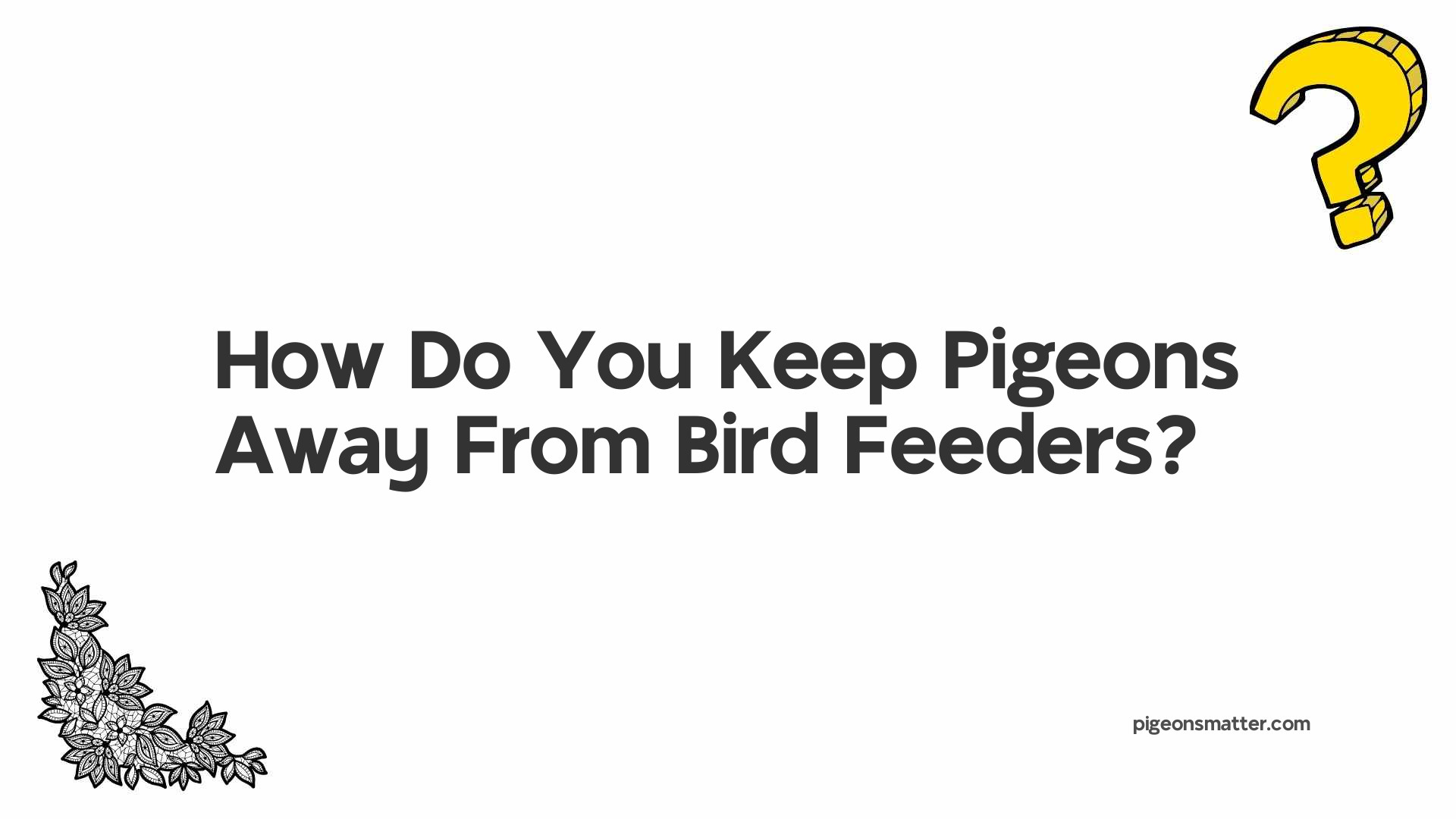 How Do You Keep Pigeons Away From Bird Feeders?
