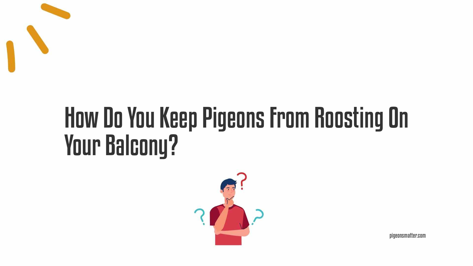How Do You Keep Pigeons From Roosting On Your Balcony?