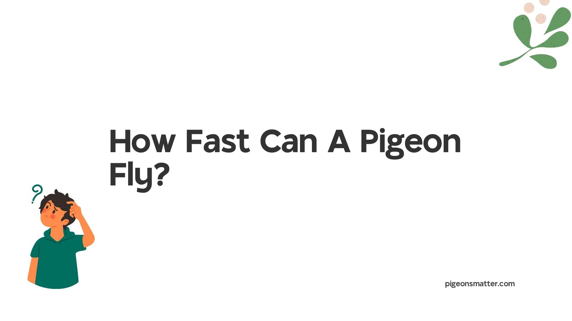 How Fast Can A Pigeon Fly?