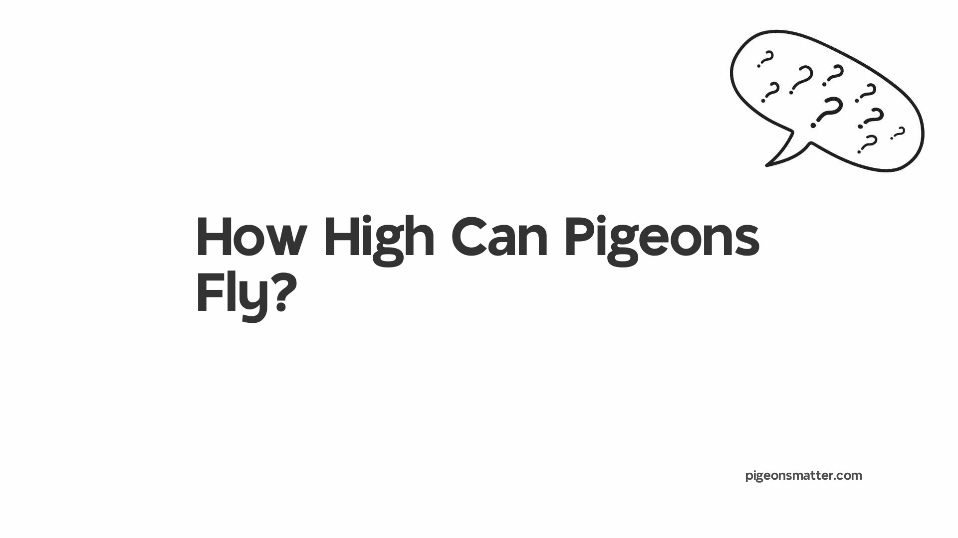 How High Can Pigeons Fly?