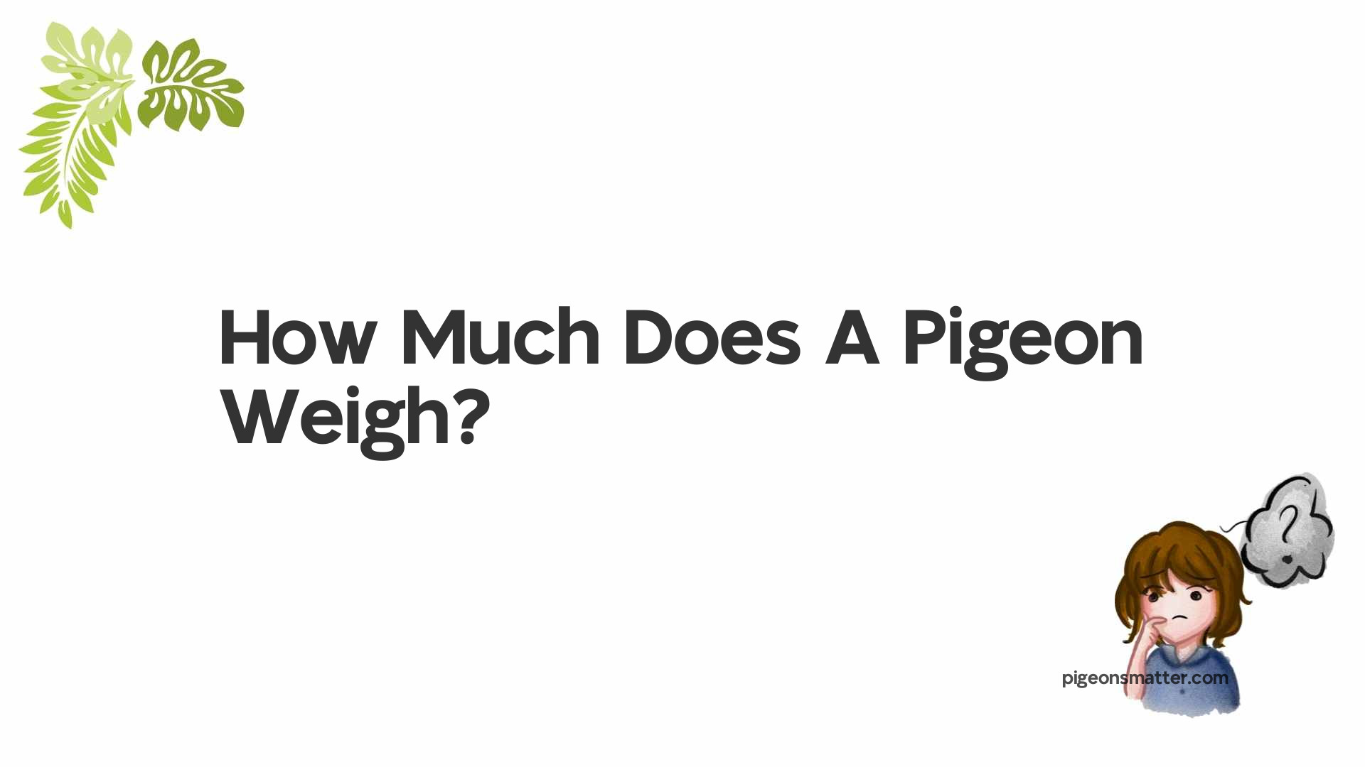 How Much Does A Pigeon Weigh?