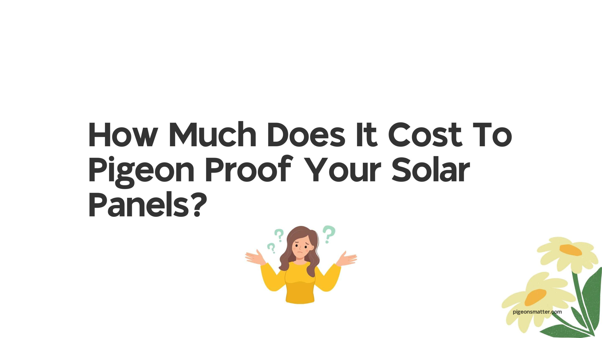 How Much Does It Cost To Pigeon Proof Your Solar Panels?