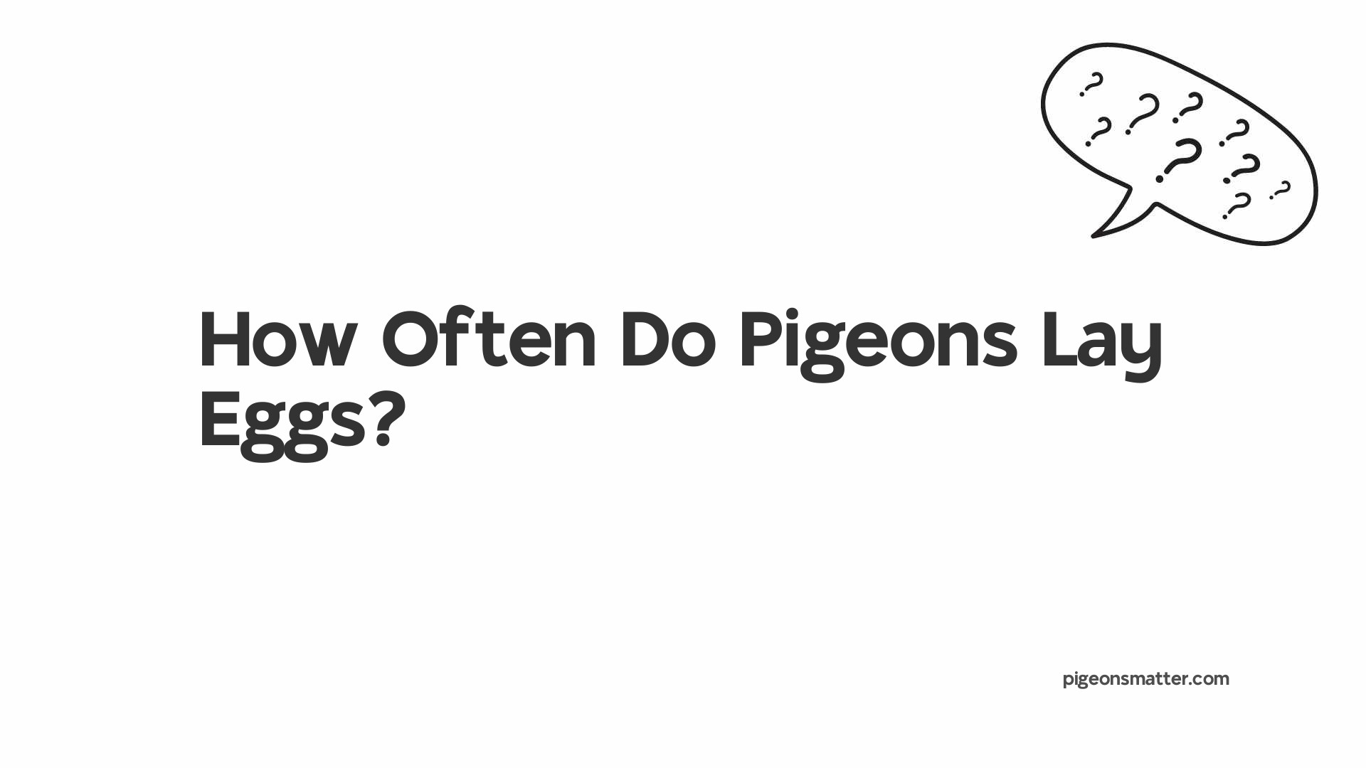 How Often Do Pigeons Lay Eggs?