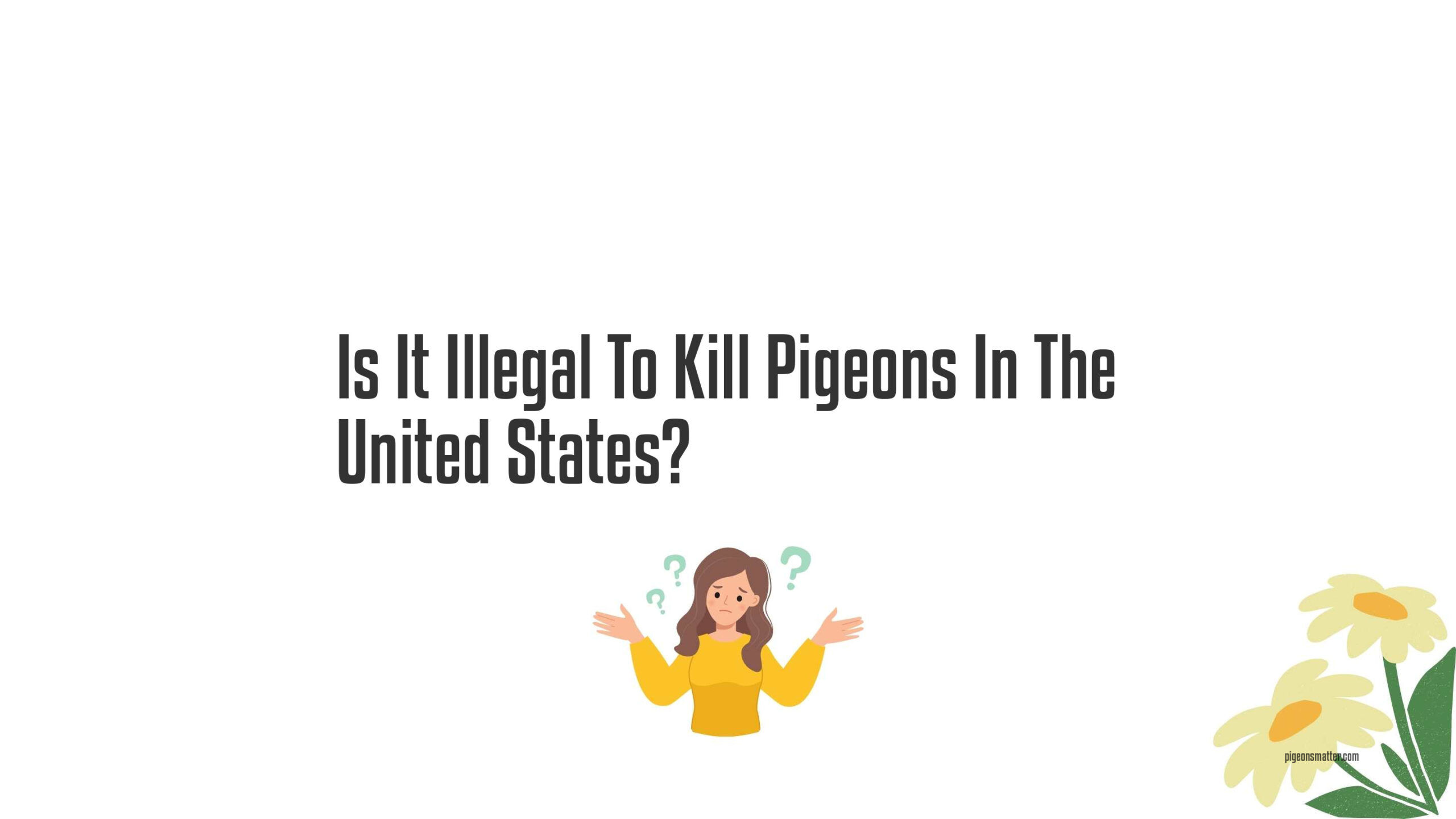 Is It Illegal To Kill Pigeons In The United States?