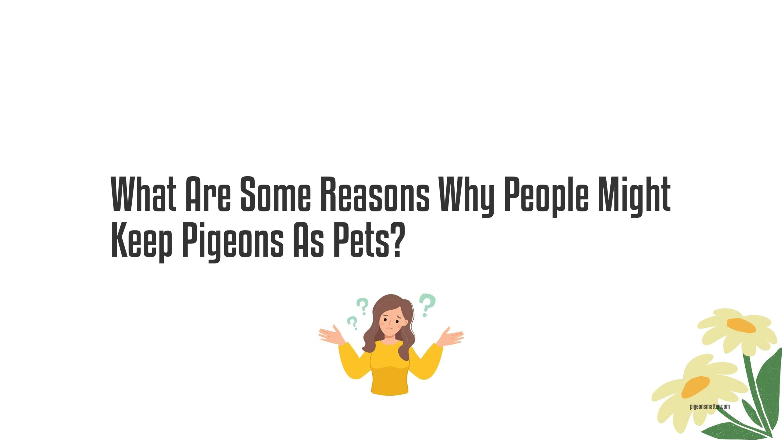 What Are Some Reasons Why People Might Keep Pigeons As Pets?