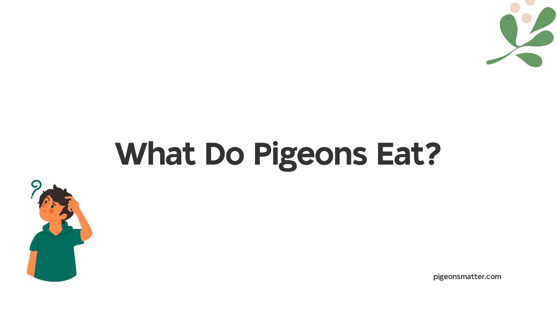 What Do Pigeons Eat?