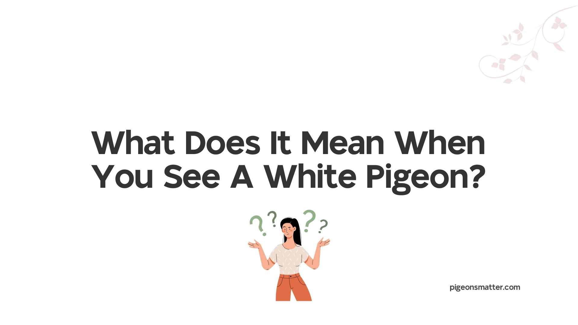 What Does It Mean When You See A White Pigeon?