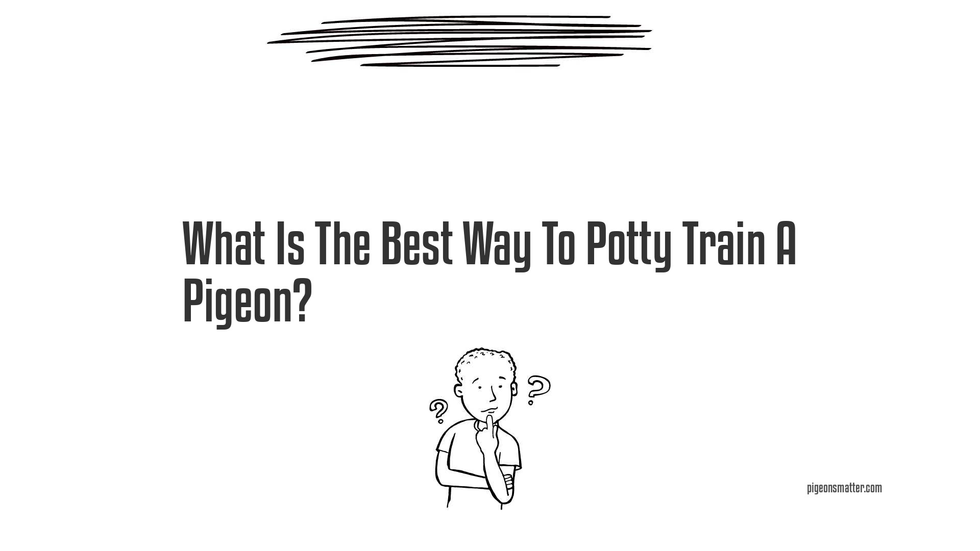 What Is The Best Way To Potty Train A Pigeon?