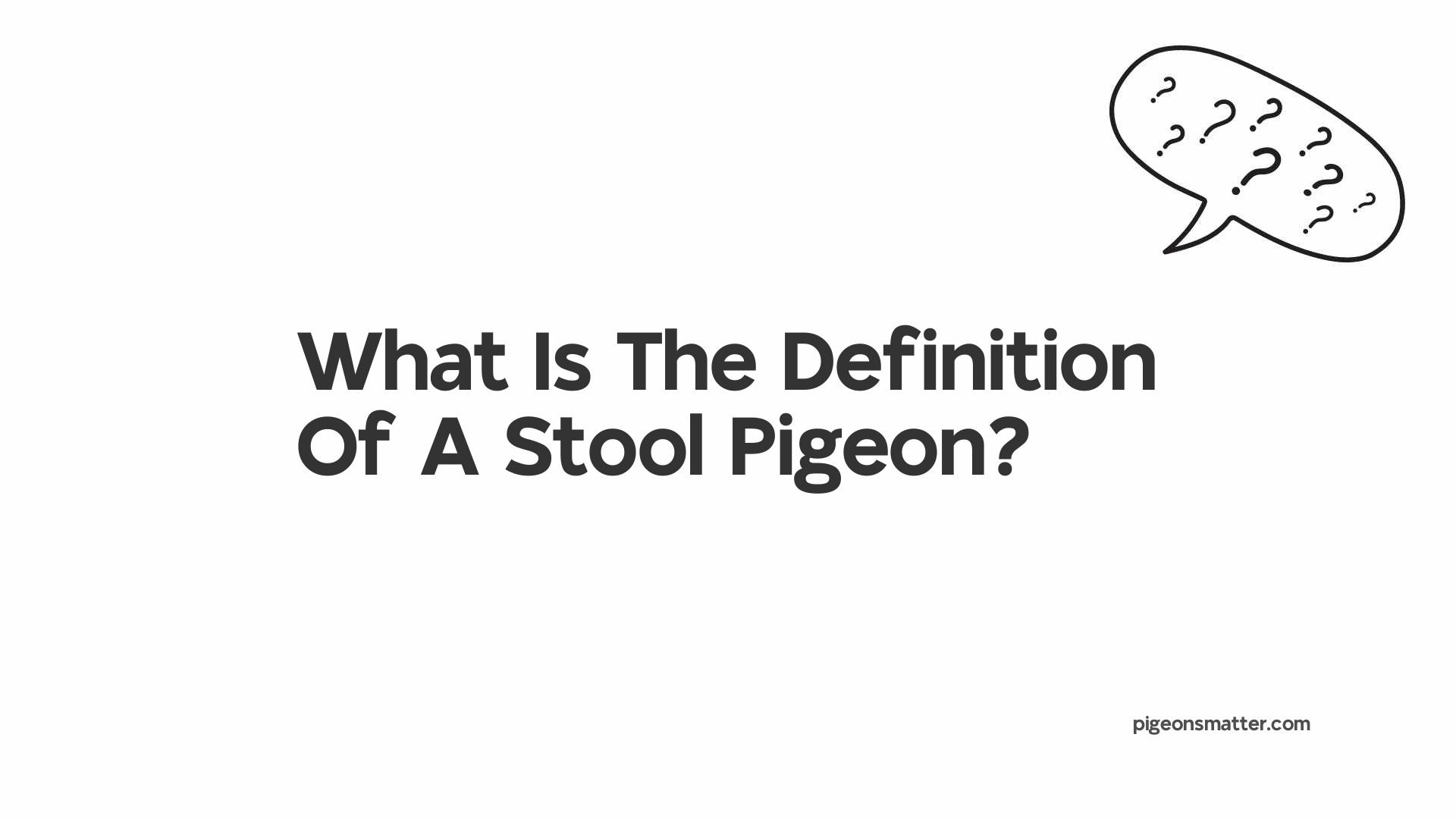 What Is The Definition Of A Stool Pigeon?