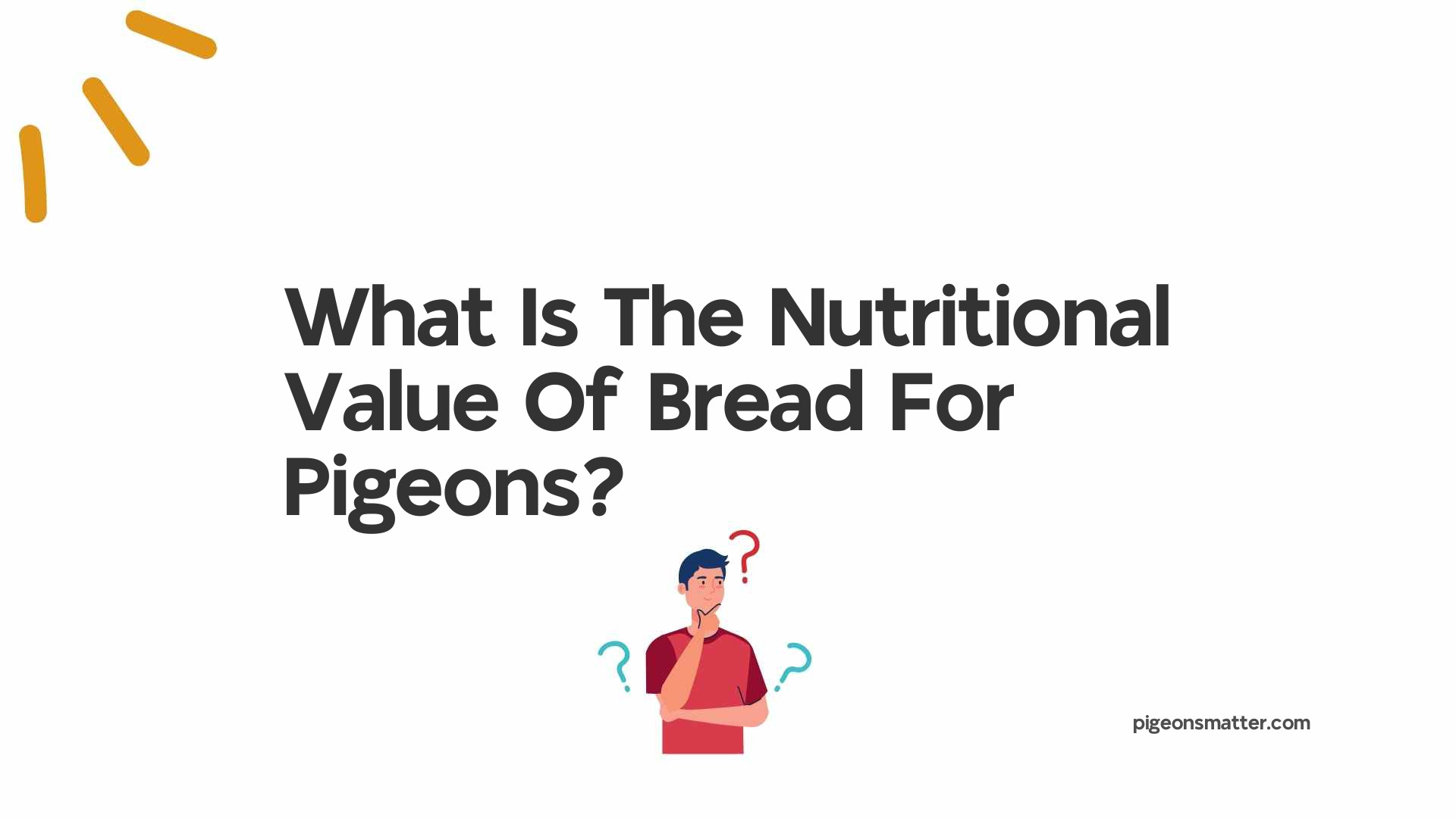 What Is The Nutritional Value Of Bread For Pigeons?