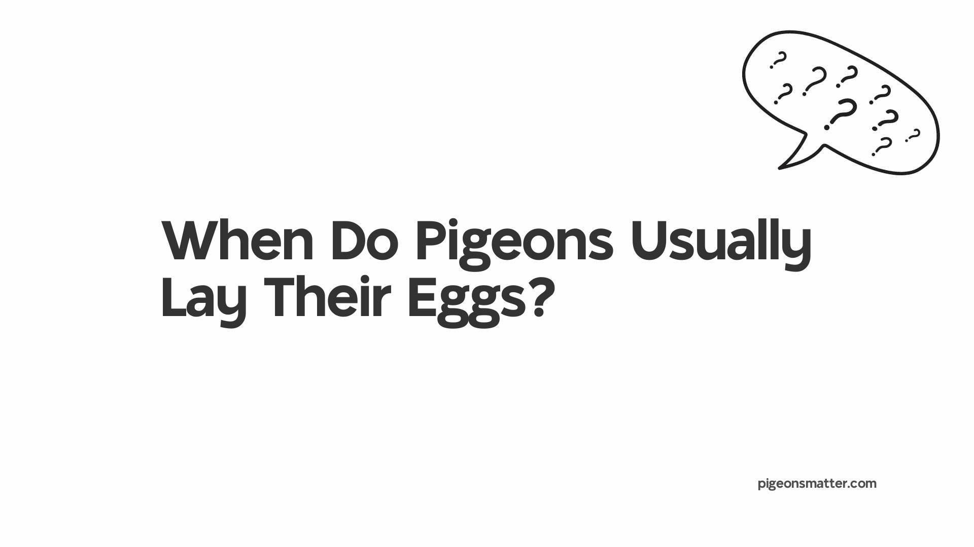 When Do Pigeons Usually Lay Their Eggs?