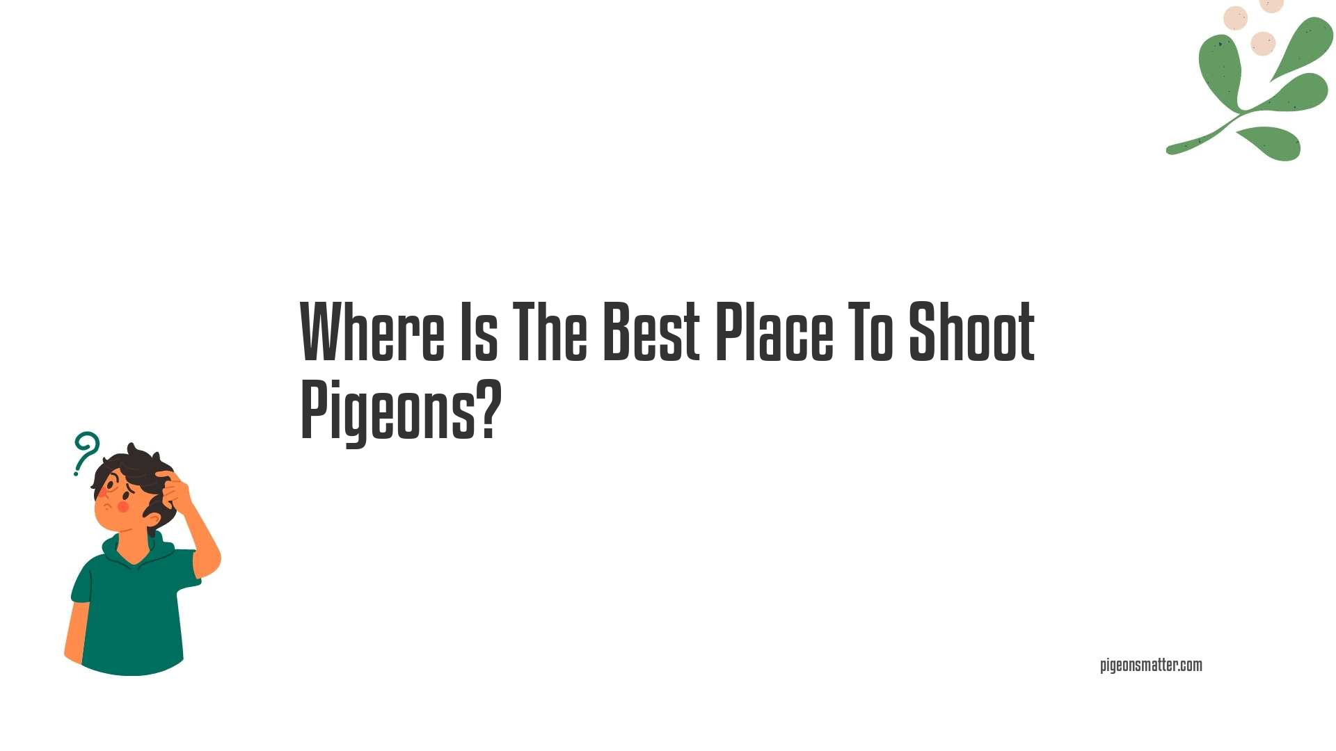 Where Is The Best Place To Shoot Pigeons?