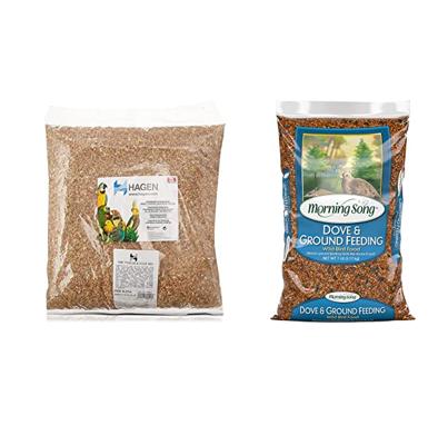 The Best Seeds to Feed Your Pigeons: A Review