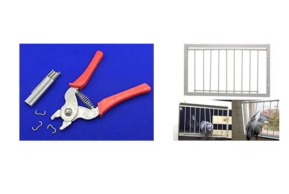 The Top 5 Cages for Pigeon Keepers