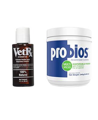 Canker-Free Pigeons: The Best Treatments for Your Feathered Friends