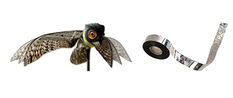 Pigeon-Proof Your Home: The Best Deterrents Reviewed