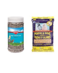 Read more about the article Feeding for Success: The Best Breeding Pigeon Feeds