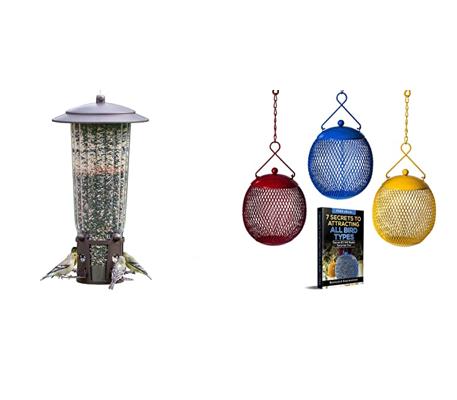 The Perfect Pest-Proof Bird Feeder: A Review