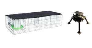 Read more about the article The Best Pigeon Traps: A Review