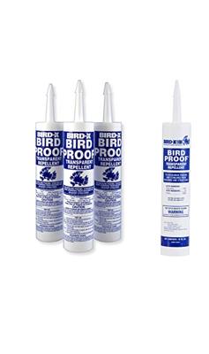 Poisoning Pigeons? Find the Best Option Here!