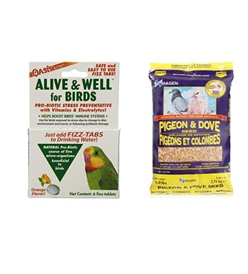 Probiotics for Pigeons: Finding the Best for Your Feathered Friend