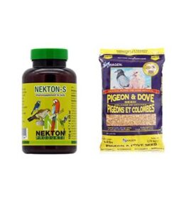 Read more about the article Vitamins For Fliers: The Top Picks for Pigeon Racing
