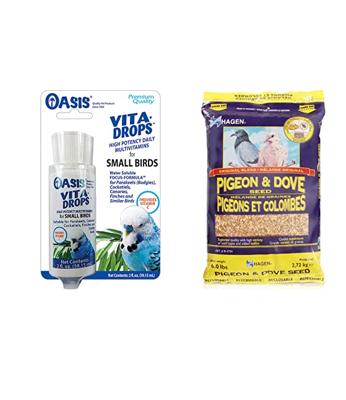 Vitamins for All: Pigeon Racing’s Best Supplements