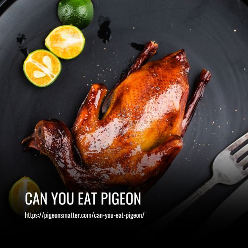 Can You Eat Pigeon