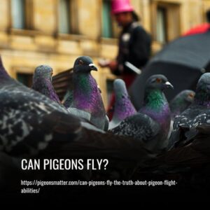 Read more about the article Can Pigeons Fly? The Truth About Pigeon Flight Abilities