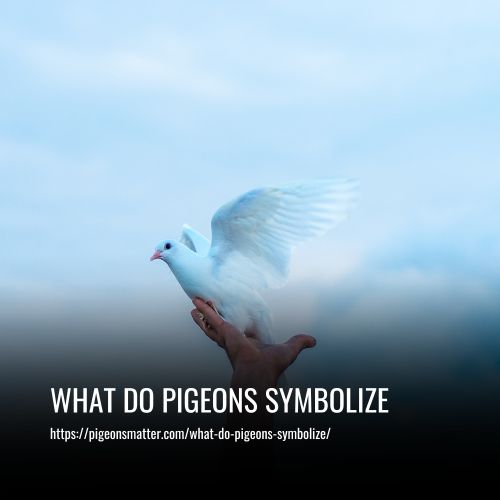 What Do Pigeons Symbolize