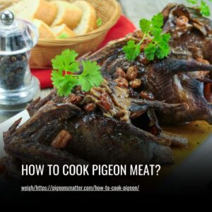 Read more about the article How To Cook Pigeon Meat: The Ultimate Guide