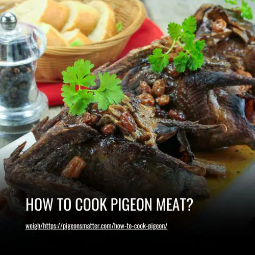 How To Cook Pigeon meat
